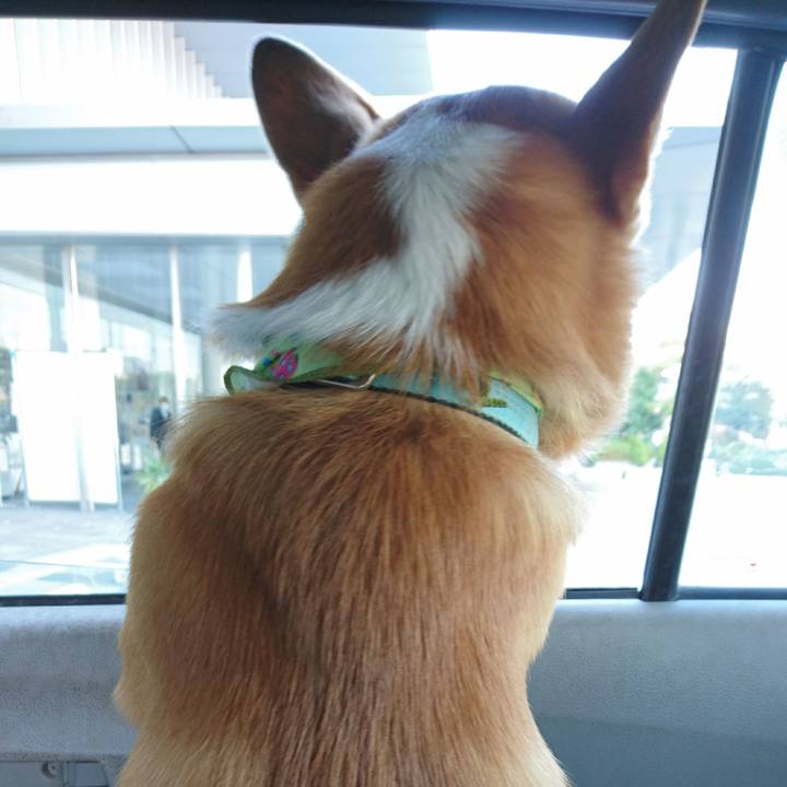 C6030676 1e1a 43f6 857d 82fdd39d5538 1605579396211