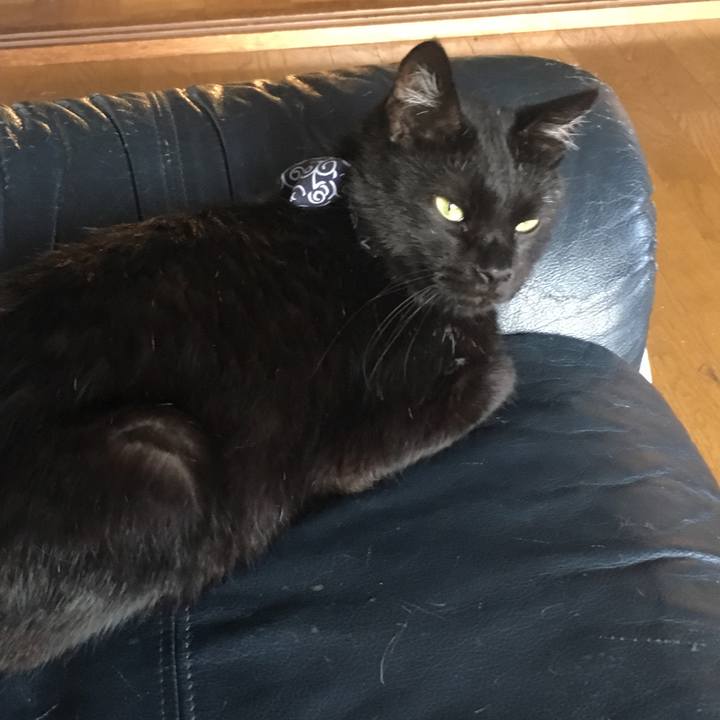 C6031132 63dc 49df add2 33010846a2d8 1536958373275