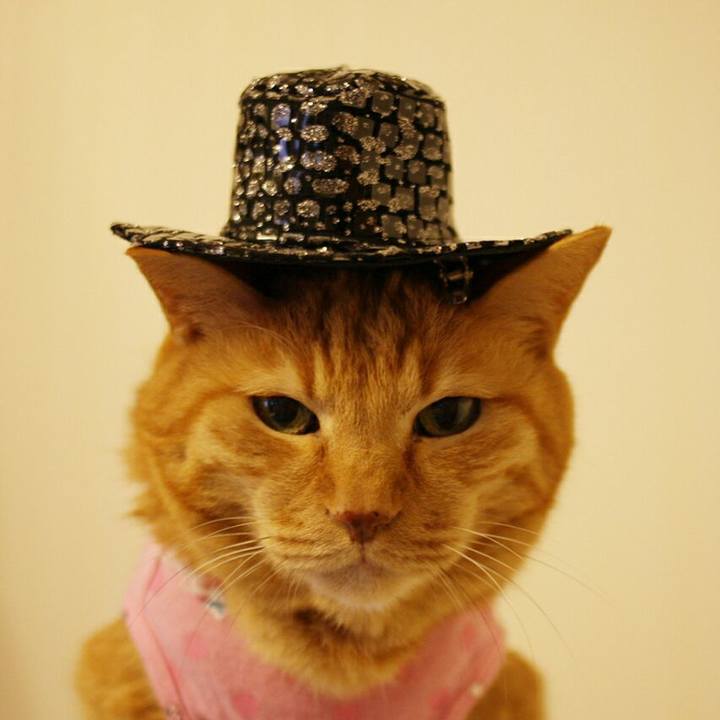 C6031d14 b926 421e be65 92da86dccc3b 1543300184747