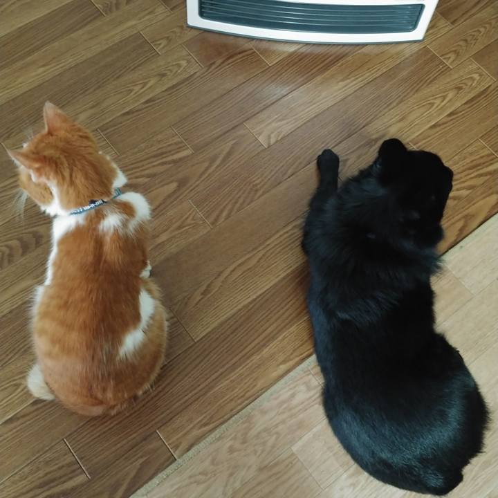 C6032e18 b3e9 42e1 9611 82faa76252bf 1610447315122