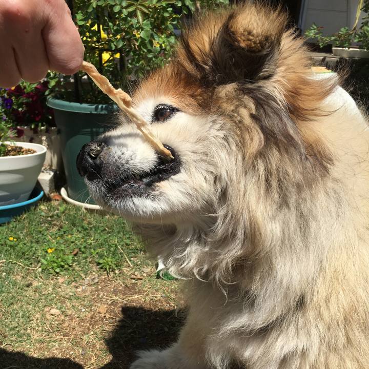 C6039f4a d5d3 4004 92f1 1341400ee1f5 1608629756920