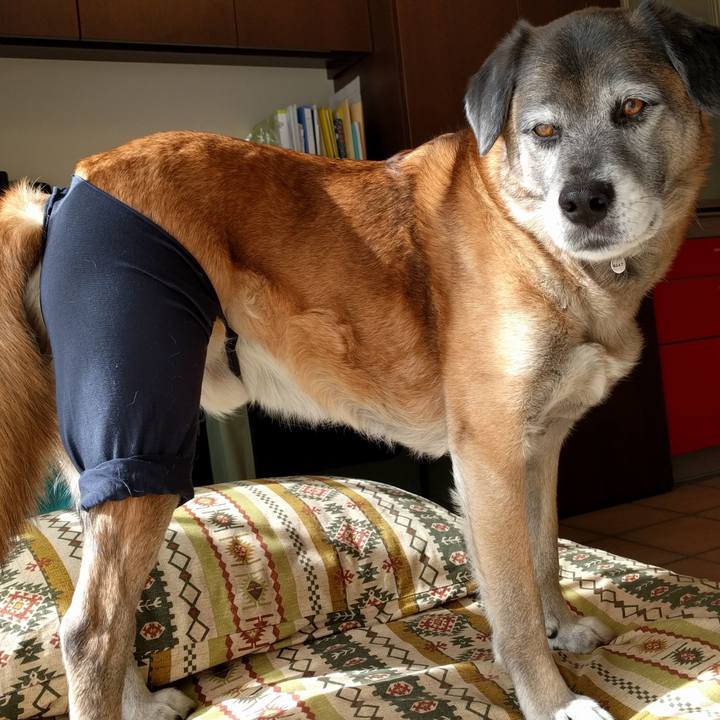 C603cbfb de32 4664 ba42 78648f28c98f 1517888971866