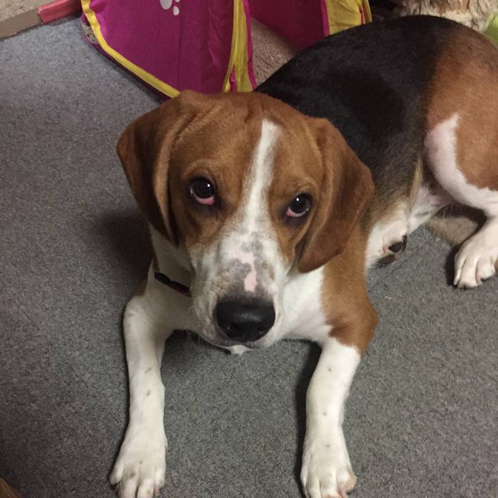 C603ce4b 3677 4fed 9f79 4a7e4e5d088f 1536066445768