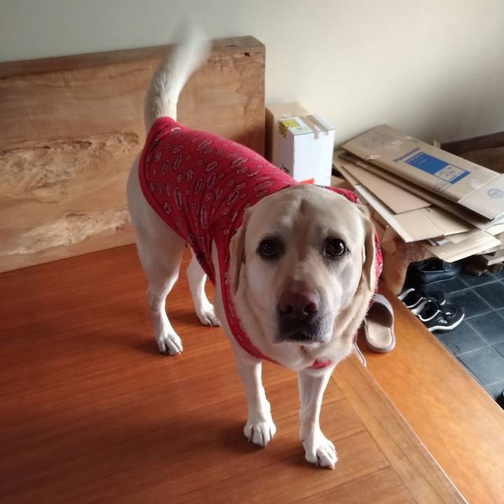 C603e1d9 d2aa 4f5c b645 6794fd9965d5 1643850274802