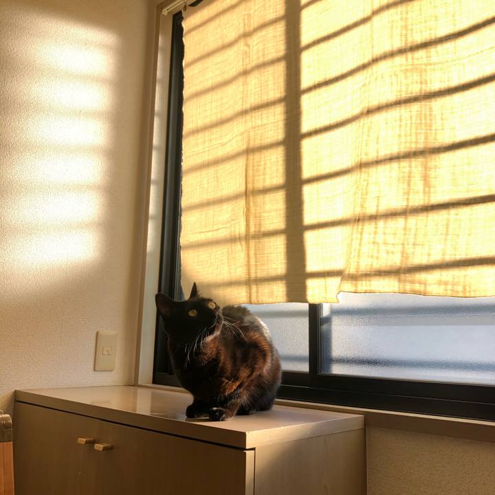 C603f428 a945 44a4 a57a 0d7677699471 1609419376482