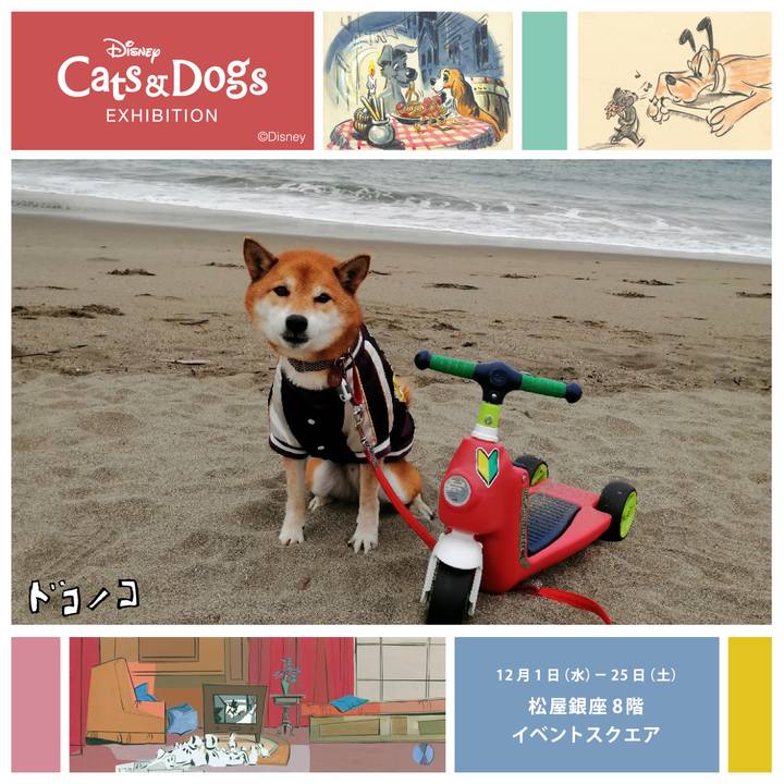 C60415c1 ca50 4aa7 bb29 9eaa74558e96 1638778718207