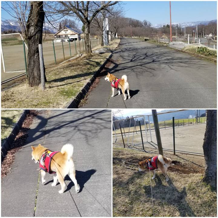 C60426f6 b4f3 4d01 987b b828e5501405 1583742975604