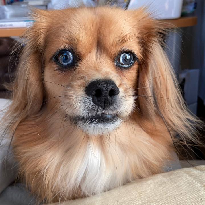 C6045248 8451 4ab9 9f58 86b4d76f64ad 1574115660081