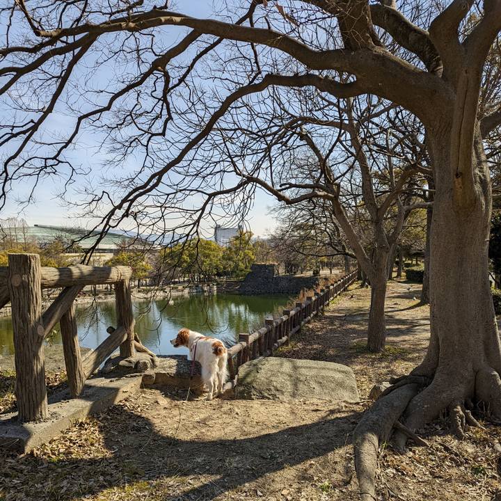 C6047522 43f4 44ce a331 cfa6e5a3d0e1 1644666019415