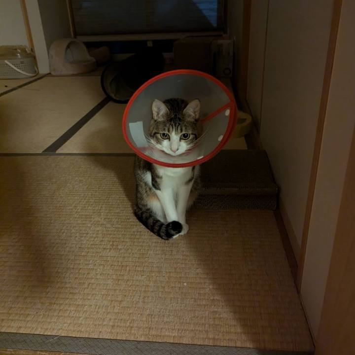 C60479b6 4b8f 47a7 bb26 79ba1664c4d8 1772435103908