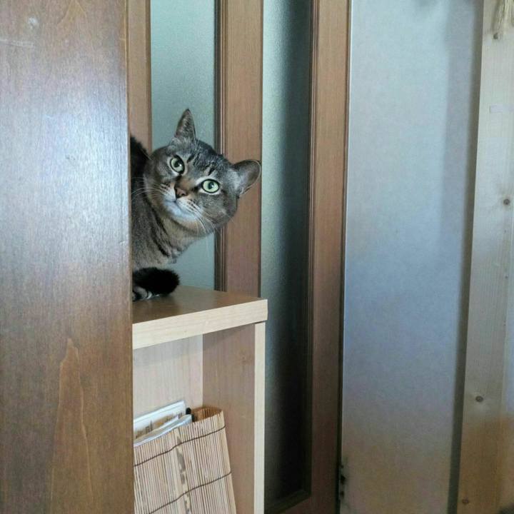 C604d6ee acbf 46bd 91ce ff1933ccbce4 1548659762414