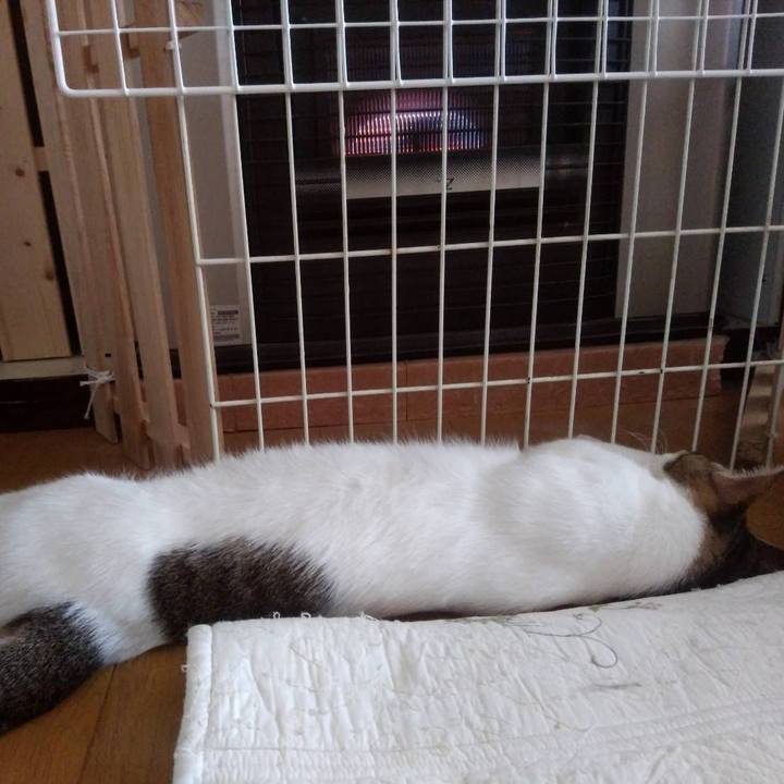 C6050b1b 81a3 40e8 9189 0f44ba0f235e 1682644179241