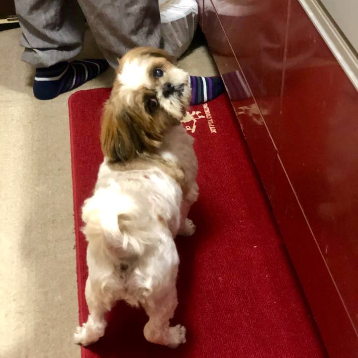 C6052ec7 a707 4868 b393 496cb8401b04 1561802513942