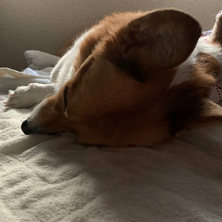 C6054896 a106 4ce3 a97b 5f59baf589c0 1589557753211