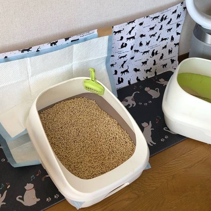 C6054f22 09b6 4bbc 9d84 d8b24e694307 1559436975977