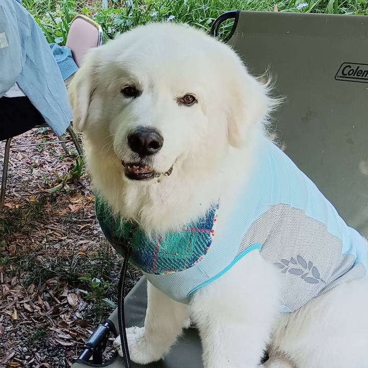 C60560f5 3301 4951 9fe6 90a2d48bde48 1714350256490