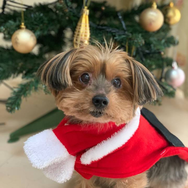 C6057aaf a268 4d0c 9c5e efe47ea558c3 1608758551664