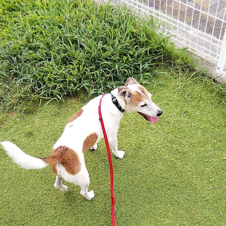 C605aae2 b7e0 497a b7ad d79d03f3a2cb 1596845585038