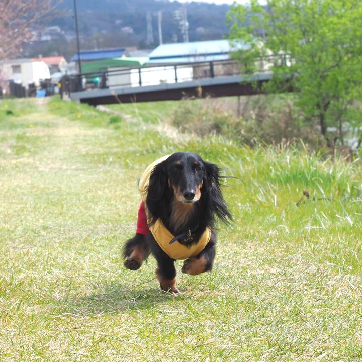 C60638cc e591 4623 a32c b1059993f9ce 1616826665365