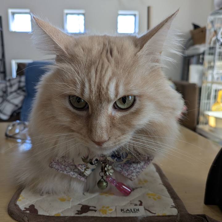 C6063ddd ffe5 4004 b328 a4ff91c032b5 1767063003303