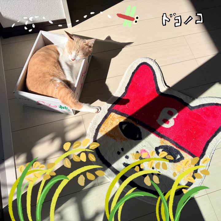 C60650e0 1471 4069 b666 97266820696a 1761454853441