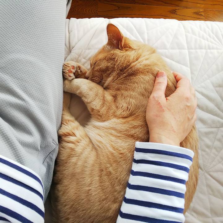 C6066959 851b 4838 90c5 720574c257a1 1648261796055