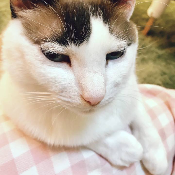 C6066db7 a80a 41c6 bf6e 48a3941e60f7 1524653246712