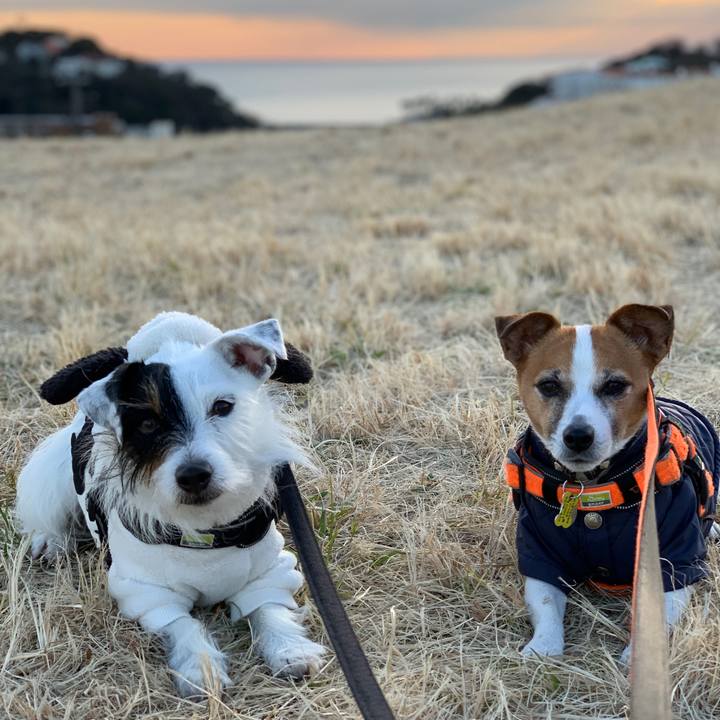 C6068aec d3de 47b0 8e33 f36f0a0f8e8b 1578642566774