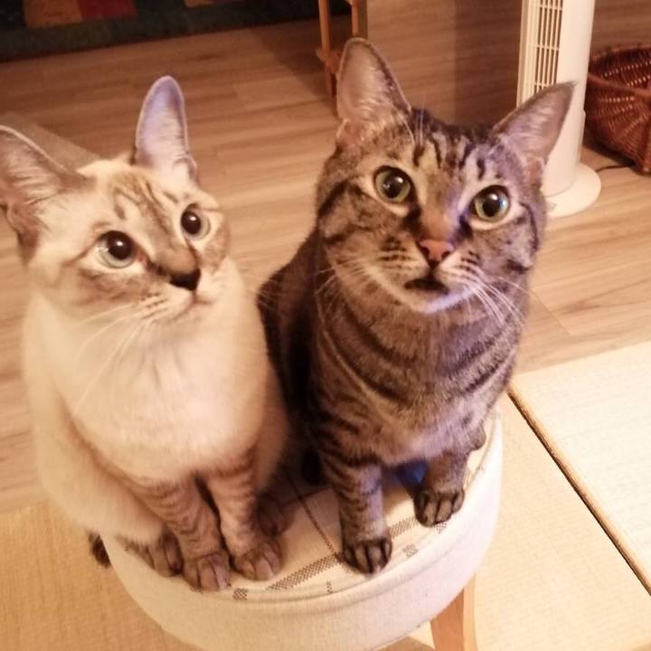 C606929a f2a3 45d7 89da b68727d3ebf9 1570406157924