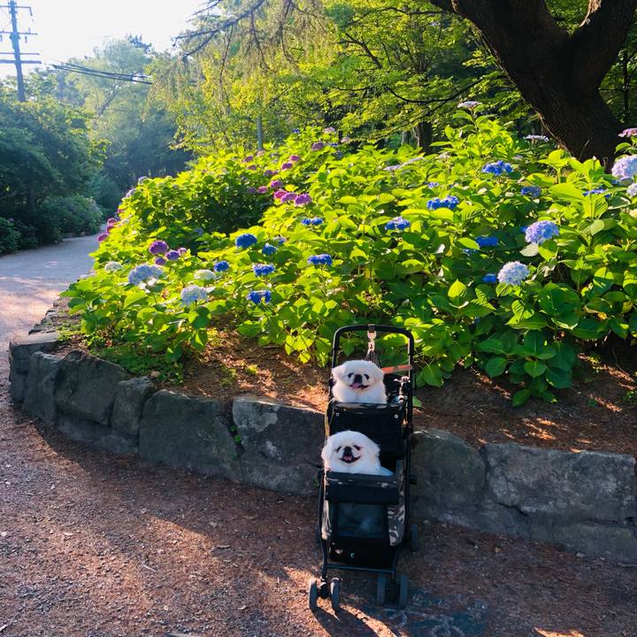 C606a9ca af19 4f2f 9193 177e732ed305 1623196280243