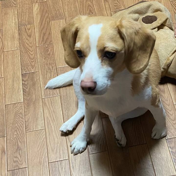 C606b393 ab46 4f77 91d9 28c6fee287b9 1627344150235