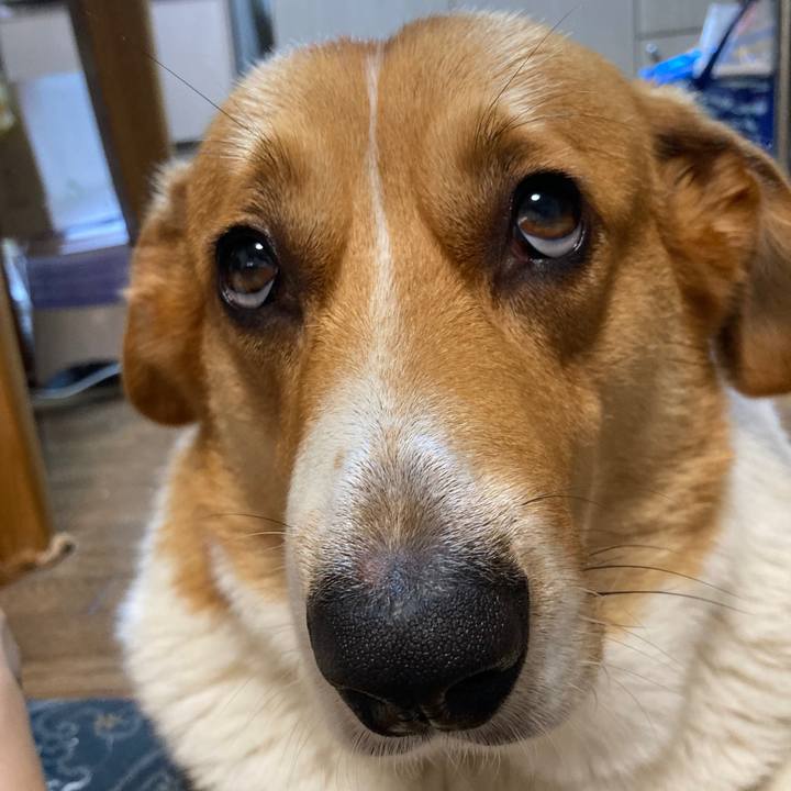 C606d339 ac0e 4764 973d c5e9399f36f5 1658973781666