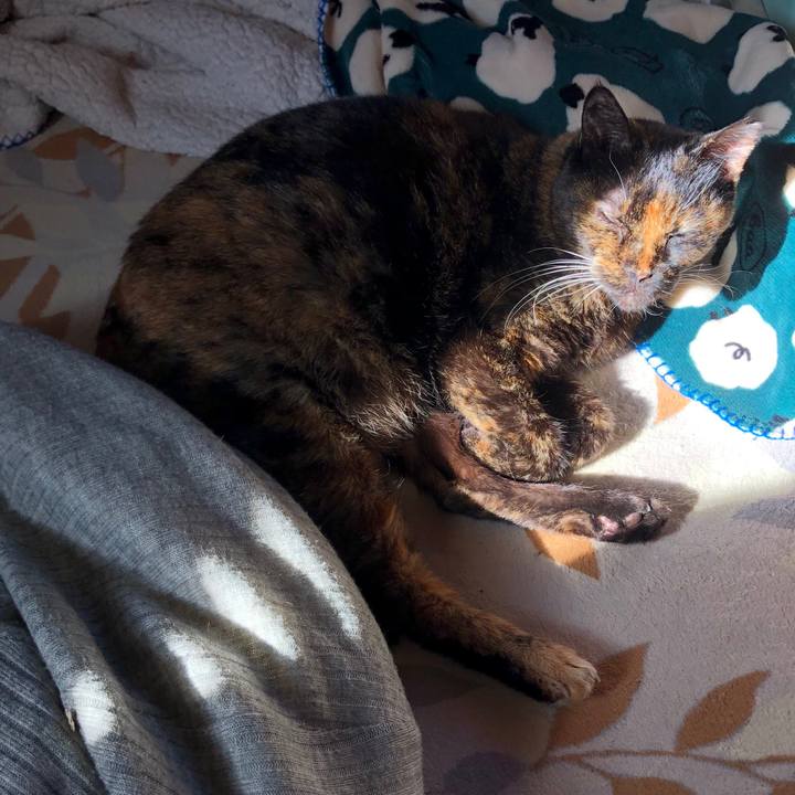 C606f748 e97a 4638 8ee1 c8d175c97804 1668134662000