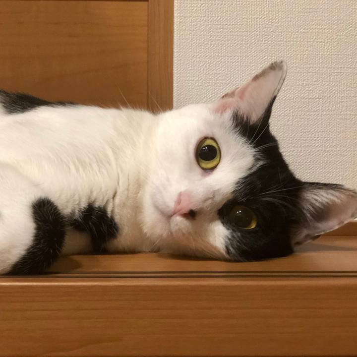 C606fd9d eadc 43ae 9827 0dbfb150f306 1535107858757