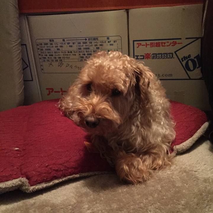 C60712a2 a7d1 4500 9db5 71ed5cf82e4a 1518438739821