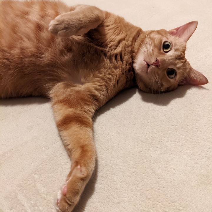 C6071702 b3a1 4f70 9672 b78132a973c5 1662983104580