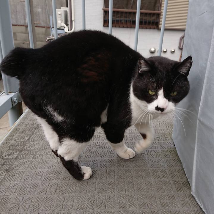 C6073b0e 1bc0 4a82 9d83 a6a5105a0022 1648363204983