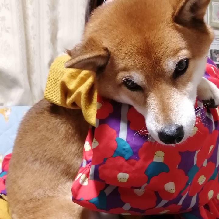 C6073bb9 b15d 4b68 a80e 0090de2bdcaf 1638540116443