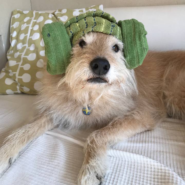 C6075b4c cca0 4ad3 bfc9 d3b068e90a47 1549068210135