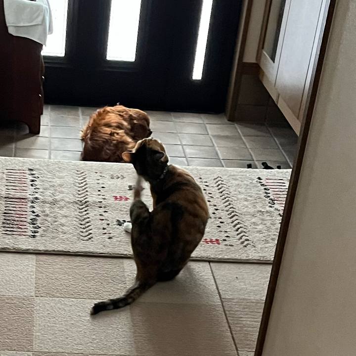 C60765a8 a130 48ba bb67 422bb815b5c9 1715553045210