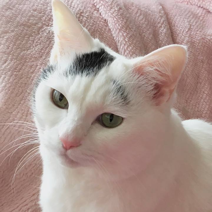 C607a85e bafd 42f0 a1a1 0a7920c3071b 1578046921982