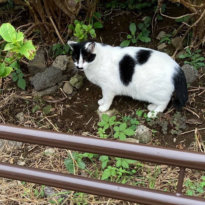 C6081b16 0756 40b2 9609 6b37ff474015 1665898085470