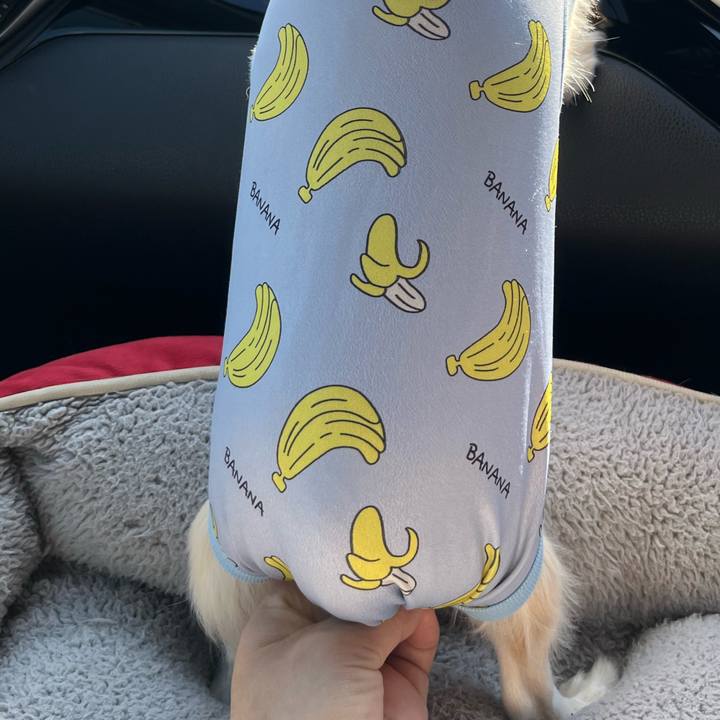 C60871b4 4531 43ad b86b 181c452a2fa2 1726279941618