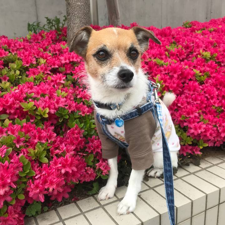 C608724a 48d3 4125 8950 fe56fb8e2cd9 1523668409567