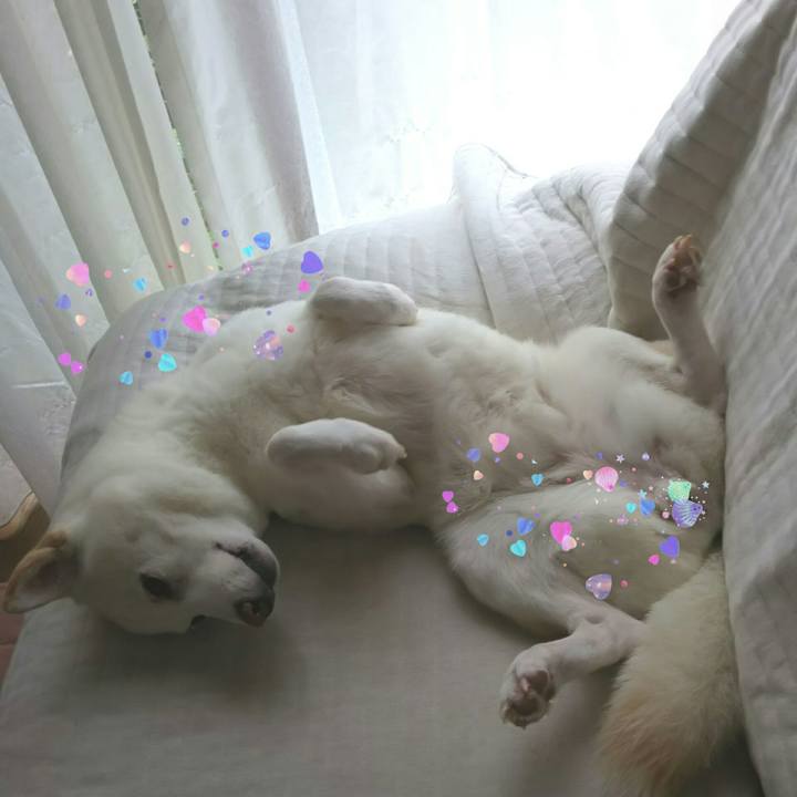 C6089904 91fb 43a1 a85e 85aff5eed074 1598142400480