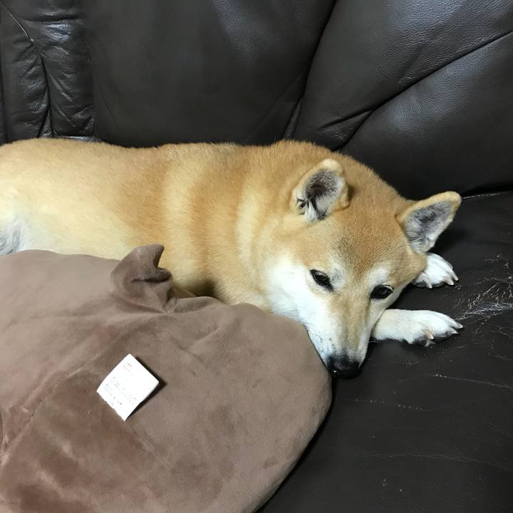 C608abfb b814 4d69 9f74 52efe2d99778 1514278287687