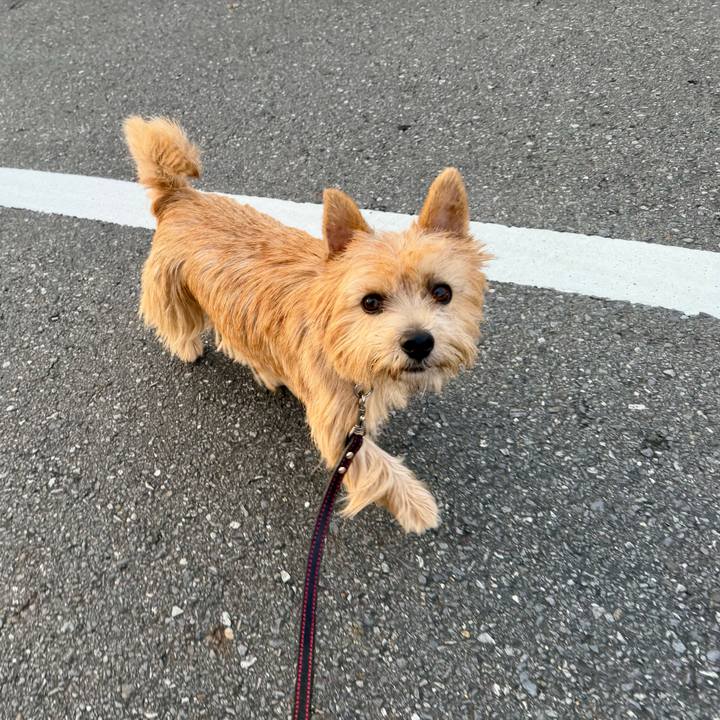 C608e520 9a35 4426 b736 b602341f3ce0 1762577289689