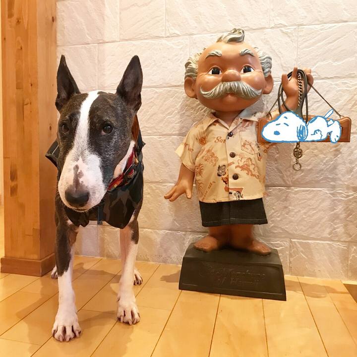 C6095d4d 718b 4a91 994b 575824a13c8a 1528702859735