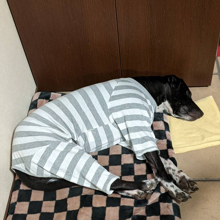 C609a2c1 7ced 42f1 9dcb 7025f9206a45 1640652334487