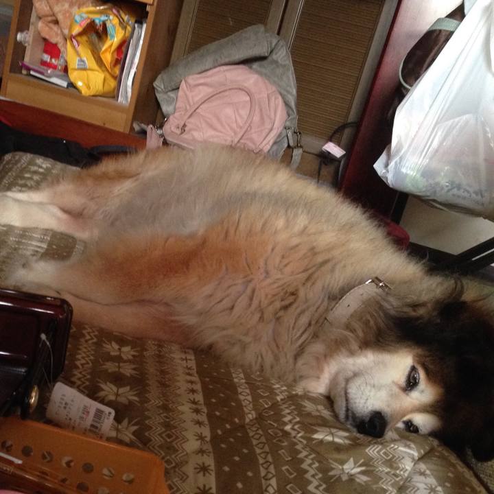 C609b15f 42f9 4421 b0e5 3edcbc2ad03d 1549326540152